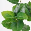 Artificial Plant 39*18*81cm leaf in pp pot GS-64021010 Potted Flowers&Plants YeahFlower is one of Chinese leading OEM manufacturers and exporters , supplying the silk flowers, wholesale artificial trees