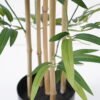Artificial Tree 100CM BAMBOO TREE GS-59521064 Tree&Plant YeahFlower is one of Chinese leading OEM manufacturers and exporters , supplying the silk flowers, wholesale artificial trees