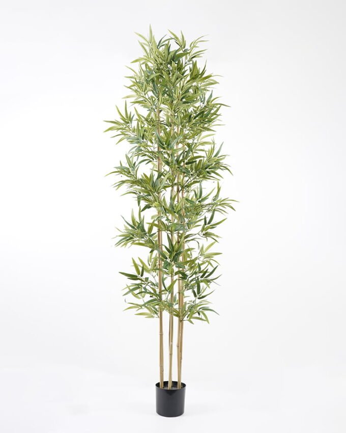 Artificial Tree Bamboo tree in the pp pot lvs1440 GS-59521018P0P2_4 Artificial Tree H:210CM Bamboo tree in the pp pot/lvs1440 GS-59521018P0P2 Tree&Plant YeahFlower is one of Chinese leading OEM manufacturers and exporters , supplying the silk flowers, wholesale artificial trees
