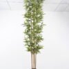 Artificial Tree Bamboo tree in the pp pot lvs1680 GS-59521021_1 Artificial Tree H:240CM Bamboo tree in the pp pot/lvs1680 GS-59521021 Tree&Plant YeahFlower is one of Chinese leading OEM manufacturers and exporters , supplying the silk flowers, wholesale artificial trees