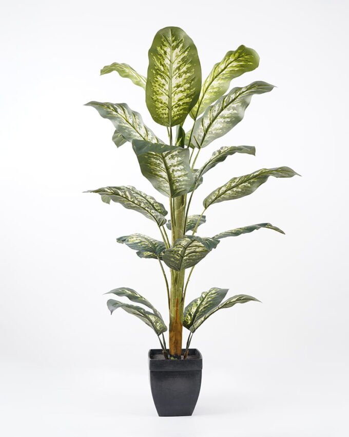Artificial Tree Dieffenbachia in pp pot lvs23 GS-48621001_4 Artificial Tree 77*74*120CM Dieffenbachia in pp pot/lvs23 GS-48621001 Tree&Plant YeahFlower is one of Chinese leading OEM manufacturers and exporters , supplying the silk flowers, wholesale artificial trees