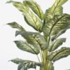 Artificial Tree Dieffenbachia in pp pot lvs23 GS-48621001_5 Artificial Tree 77*74*120CM Dieffenbachia in pp pot/lvs23 GS-48621001 Tree&Plant YeahFlower is one of Chinese leading OEM manufacturers and exporters , supplying the silk flowers, wholesale artificial trees