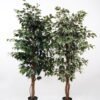 Artificial Tree H:150CM Ficus in the pp pot/lvs1008 GS-59521011 Tree&Plant 3,000+ sqm showroom with thousands of artificial flowers, plants & trees ready for global sourcing.