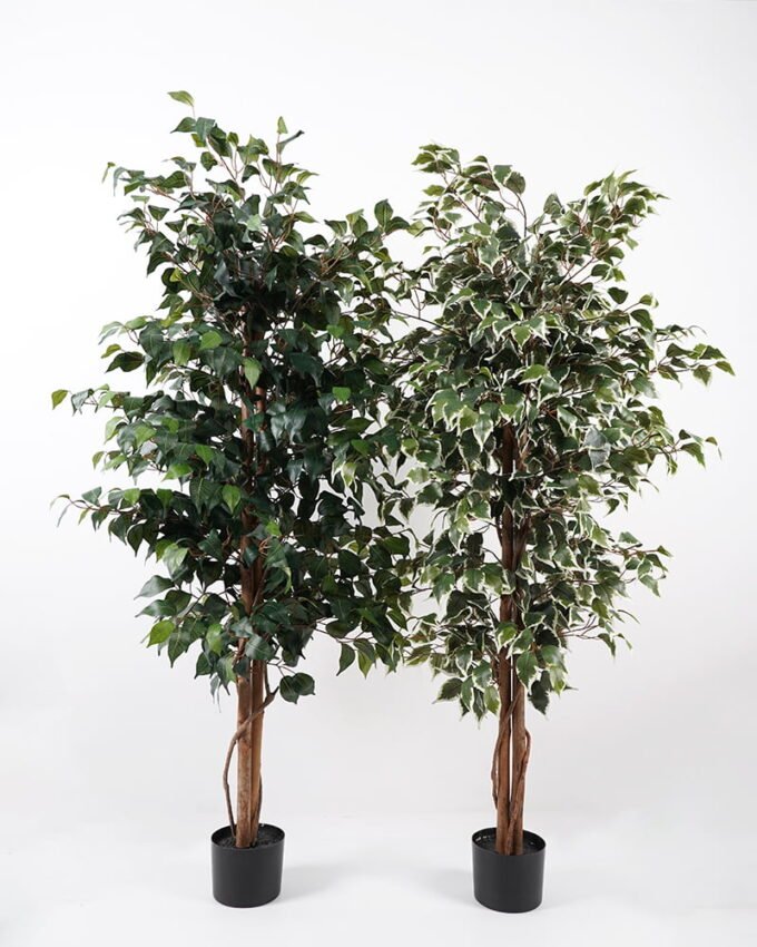 Artificial Tree H:150CM Ficus in the pp pot/lvs1008 GS-59521011 Tree&Plant 3,000+ sqm showroom with thousands of artificial flowers, plants & trees ready for global sourcing.
