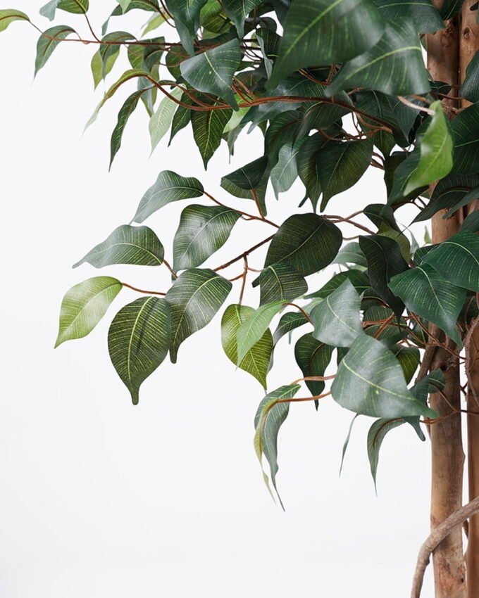 Artificial Tree H:150CM Ficus in the pp pot/lvs1008 GS-59521011 Tree&Plant 3,000+ sqm showroom with thousands of artificial flowers, plants & trees ready for global sourcing.