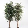 Artificial Tree H:180CM Ficus in the pp pot/lvs1227 GS-59521013 Tree&Plant YeahFlower is one of Chinese leading OEM manufacturers and exporters , supplying the silk flowers, wholesale artificial trees