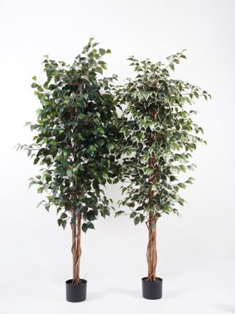 Artificial Tree H:150CM Ficus in the pp pot/lvs1008 GS-59521011 Tree&Plant 3,000+ sqm showroom with thousands of artificial flowers, plants & trees ready for global sourcing.