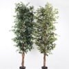 Artificial Tree H:210CM Ficus in the pp pot/lvs1800 GS-59521014 Tree&Plant 3,000+ sqm showroom with thousands of artificial flowers, plants & trees ready for global sourcing.