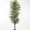 Artificial Tree H:210CM Ficus in the pp pot/lvs1800 GS-59521014 Tree&Plant 3,000+ sqm showroom with thousands of artificial flowers, plants & trees ready for global sourcing.