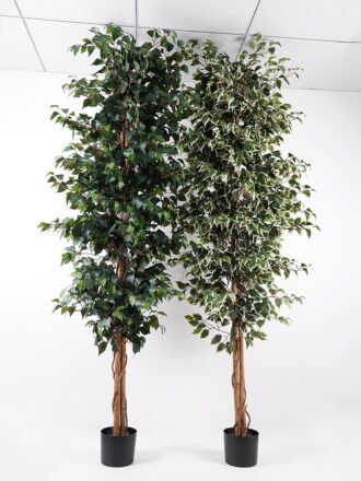 Artificial Tree H:120CM Ficus in the pp pot/lvs504 GS-59521019 Tree&Plant 3,000+ sqm showroom with thousands of artificial flowers, plants & trees ready for global sourcing.
