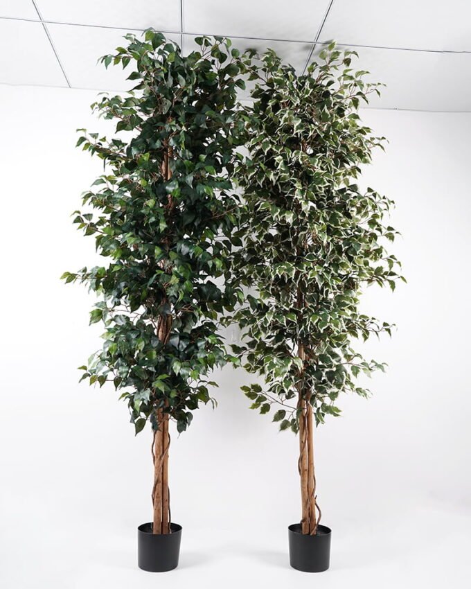 Artificial Tree H:240CM Ficus in the pp pot/lvs2050 GS-59521020 Tree&Plant YeahFlower is one of Chinese leading OEM manufacturers and exporters , supplying the silk flowers, wholesale artificial trees