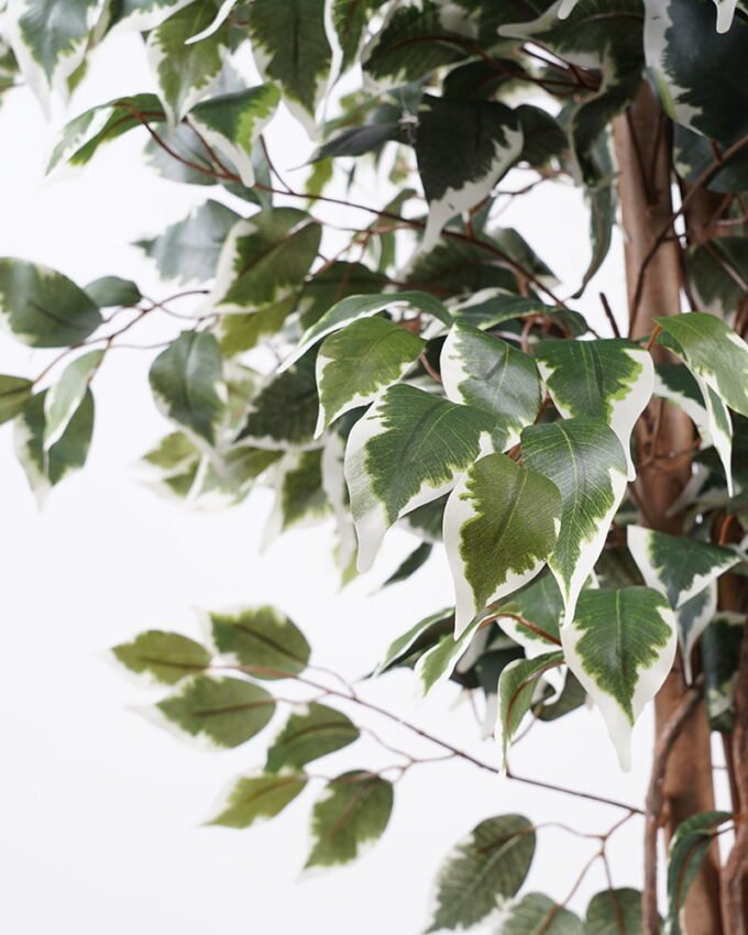 Artificial Tree H:240CM Ficus in the pp pot/lvs2050 GS-59521020 Tree&Plant YeahFlower is one of Chinese leading OEM manufacturers and exporters , supplying the silk flowers, wholesale artificial trees