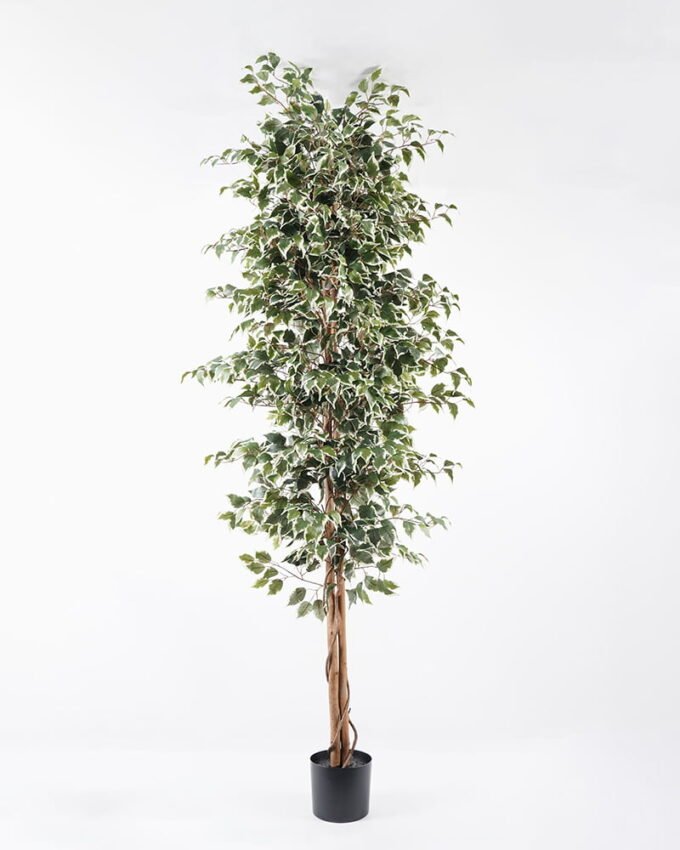 Artificial Tree H:240CM Ficus in the pp pot/lvs2050 GS-59521020 Tree&Plant YeahFlower is one of Chinese leading OEM manufacturers and exporters , supplying the silk flowers, wholesale artificial trees