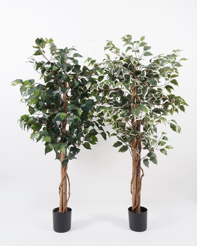 Artificial Tree H:120CM Ficus in the pp pot/lvs504 GS-59521019 Tree&Plant YeahFlower is one of Chinese leading OEM manufacturers and exporters , supplying the silk flowers, wholesale artificial trees