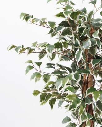 Artificial Tree H:120CM Ficus in the pp pot/lvs504 GS-59521019 Tree&Plant YeahFlower is one of Chinese leading OEM manufacturers and exporters , supplying the silk flowers, wholesale artificial trees