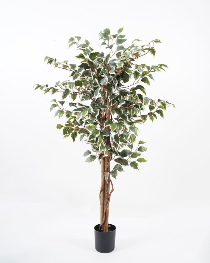 Artificial Tree H:120CM Ficus in the pp pot/lvs504 GS-59521019 Tree&Plant YeahFlower is one of Chinese leading OEM manufacturers and exporters , supplying the silk flowers, wholesale artificial trees