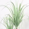 Artificial Tree 66*53*87CM Grass potted in pp pot GS-61921027 Tree&Plant YeahFlower is one of Chinese leading OEM manufacturers and exporters , supplying the silk flowers, wholesale artificial trees