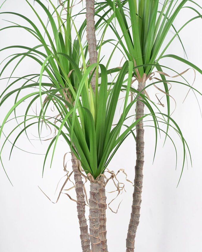 Artificial Tree 84*80*180CM Grass potted in pp pot GS-61921033 Tree&Plant YeahFlower is one of Chinese leading OEM manufacturers and exporters , supplying the silk flowers, wholesale artificial trees