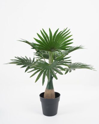 Artificial Tree 41*38*40CM Kwei leaves in pp pot GS-64221008 Tree&Plant YeahFlower is one of Chinese leading OEM manufacturers and exporters , supplying the silk flowers, wholesale artificial trees