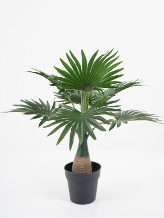Artificial Tree 47*48*40CM Kwei leaves in pp pot GS-64221009 Tree&Plant 3,000+ sqm showroom with thousands of artificial flowers, plants & trees ready for global sourcing.