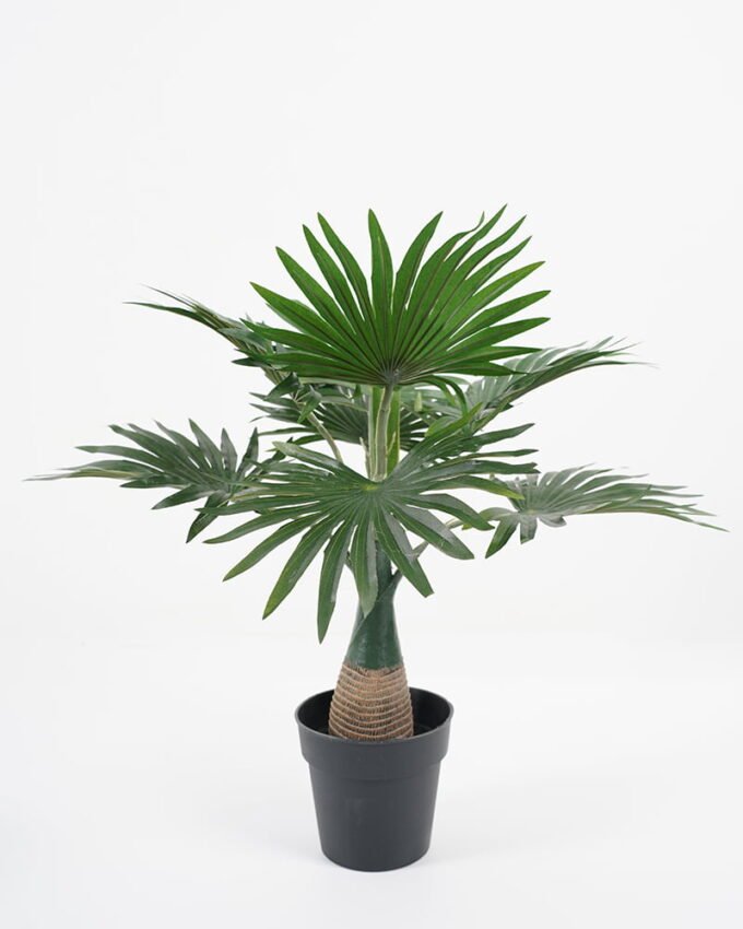 Artificial Tree 41*38*40CM Kwei leaves in pp pot GS-64221008 Tree&Plant YeahFlower is one of Chinese leading OEM manufacturers and exporters , supplying the silk flowers, wholesale artificial trees