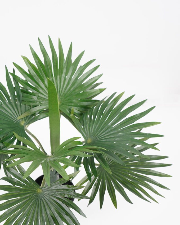 Artificial Tree 41*38*40CM Kwei leaves in pp pot GS-64221008 Tree&Plant YeahFlower is one of Chinese leading OEM manufacturers and exporters , supplying the silk flowers, wholesale artificial trees