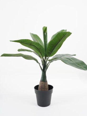 Artificial Tree 41*38*40CM Kwei leaves in pp pot GS-64221008 Tree&Plant 3,000+ sqm showroom with thousands of artificial flowers, plants & trees ready for global sourcing.