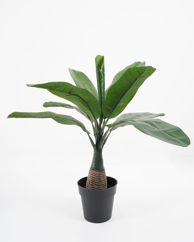 Artificial Tree 43*43*39CM Mini banana tree in pp pot GS-64221007 Tree&Plant YeahFlower is one of Chinese leading OEM manufacturers and exporters , supplying the silk flowers, wholesale artificial trees