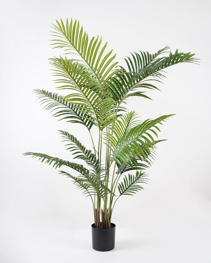 Artificial Tree 100*92*160cm Palm tree GS-63321003 Tree&Plant YeahFlower is one of Chinese leading OEM manufacturers and exporters , supplying the silk flowers, wholesale artificial trees