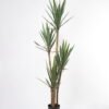 Artificial Tree H:180CM Potted tree in pp pot*4 GS-59521050 Tree&Plant 3,000+ sqm showroom with thousands of artificial flowers, plants & trees ready for global sourcing.