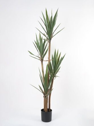 Artificial Tree 95*85*150CM YUCCA ROSTRATA TREE*3 GS-59521056 Tree&Plant 3,000+ sqm showroom with thousands of artificial flowers, plants & trees ready for global sourcing.