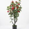 Artificial Tree 56*51*91CM Rose tree in pp pot GS-64221012 Tree&Plant YeahFlower is one of Chinese leading OEM manufacturers and exporters , supplying the silk flowers, wholesale artificial trees