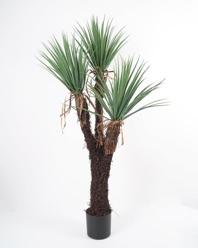 Artificial Tree 95*85*150CM YUCCA ROSTRATA TREE*3 GS-59521056 Tree&Plant YeahFlower is one of Chinese leading OEM manufacturers and exporters , supplying the silk flowers, wholesale artificial trees