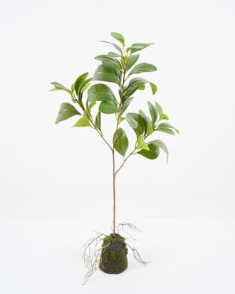 Artificial Tree 28*21*70cm leaf in pp pot GS-64021004 Tree&Plant YeahFlower is one of Chinese leading OEM manufacturers and exporters , supplying the silk flowers, wholesale artificial trees