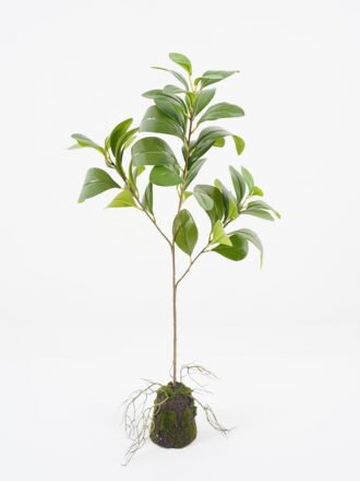 Artificial Tree 28*30*77cm leaf in pp pot GS-64021005 Tree&Plant 3,000+ sqm showroom with thousands of artificial flowers, plants & trees ready for global sourcing.