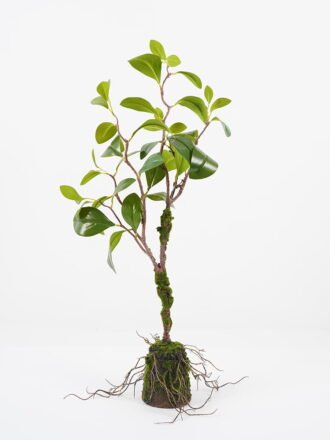 Artificial Tree 43*43*39CM Mini banana tree in pp pot GS-64221007 Tree&Plant 3,000+ sqm showroom with thousands of artificial flowers, plants & trees ready for global sourcing.