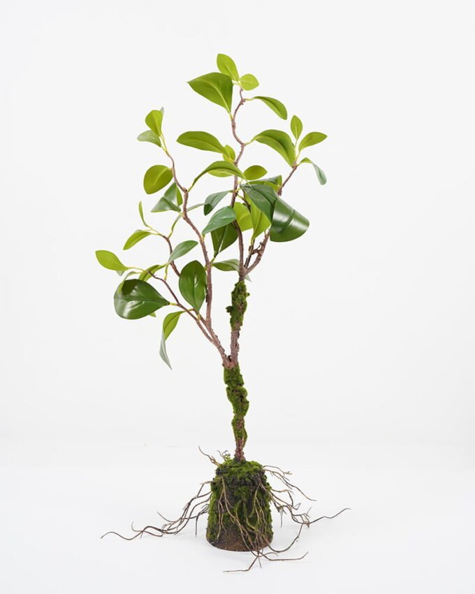 Artificial Tree 28*30*77cm leaf in pp pot GS-64021005 Tree&Plant YeahFlower is one of Chinese leading OEM manufacturers and exporters , supplying the silk flowers, wholesale artificial trees