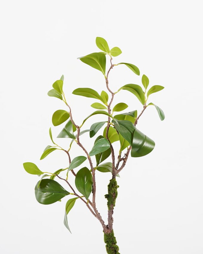 Artificial Tree 28*30*77cm leaf in pp pot GS-64021005 Tree&Plant YeahFlower is one of Chinese leading OEM manufacturers and exporters , supplying the silk flowers, wholesale artificial trees