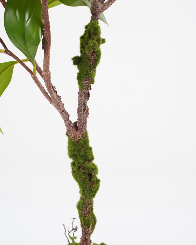 Artificial Tree 28*30*77cm leaf in pp pot GS-64021005 Tree&Plant YeahFlower is one of Chinese leading OEM manufacturers and exporters , supplying the silk flowers, wholesale artificial trees