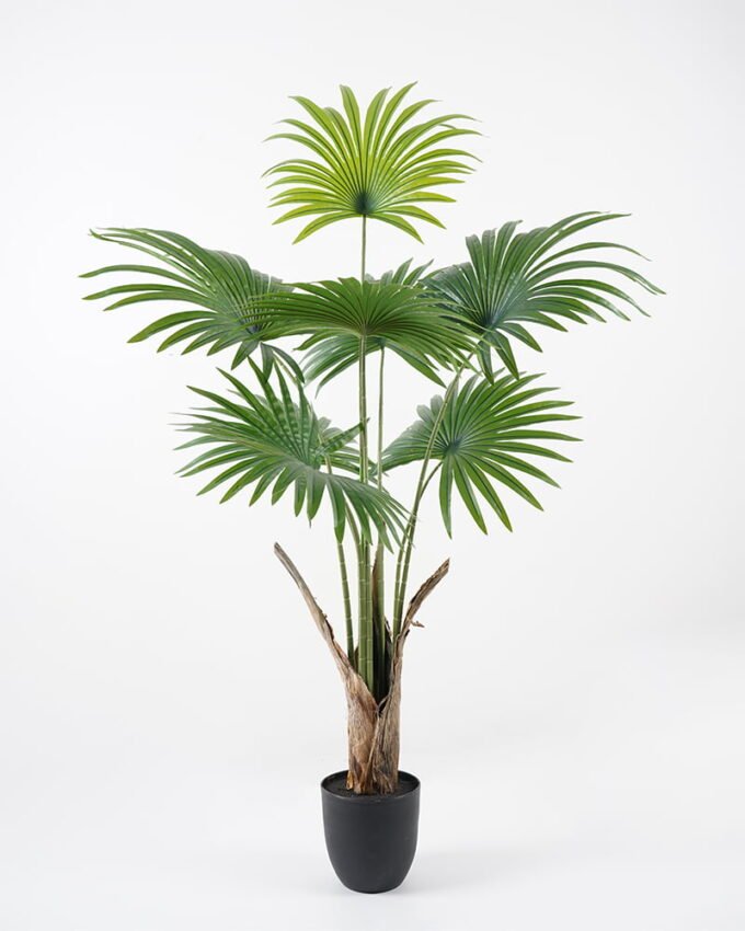 Artificial Tree 90*70*140CM livistona chinensis in pp pot GS-63321007 Tree&Plant YeahFlower is one of Chinese leading OEM manufacturers and exporters , supplying the silk flowers, wholesale artificial trees