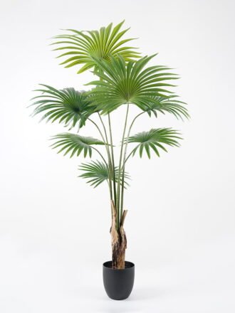 Artificial Tree 90*70*140CM livistona chinensis in pp pot GS-63321007 Tree&Plant 3,000+ sqm showroom with thousands of artificial flowers, plants & trees ready for global sourcing.