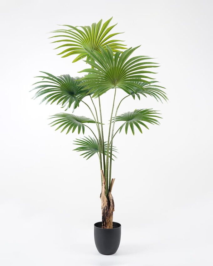 Artificial Tree 95*81*159CM livistona chinensis in pp pot GS-63321008 Tree&Plant YeahFlower is one of Chinese leading OEM manufacturers and exporters , supplying the silk flowers, wholesale artificial trees
