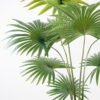 Artificial Tree 95*81*159CM livistona chinensis in pp pot GS-63321008 Tree&Plant YeahFlower is one of Chinese leading OEM manufacturers and exporters , supplying the silk flowers, wholesale artificial trees