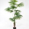 Artificial Tree  98*90*195CM livistona chinensis in pp pot GS-63321010 Tree&Plant YeahFlower is one of Chinese leading OEM manufacturers and exporters , supplying the silk flowers, wholesale artificial trees