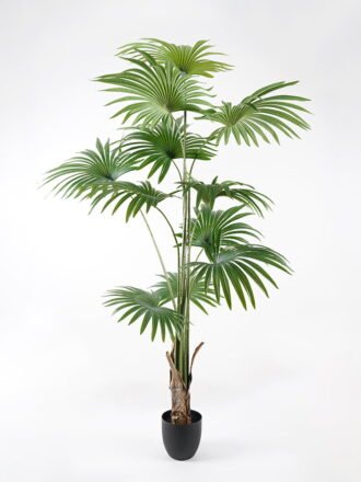 Artificial Tree 95*81*159CM livistona chinensis in pp pot GS-63321008 Tree&Plant 3,000+ sqm showroom with thousands of artificial flowers, plants & trees ready for global sourcing.