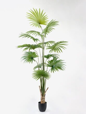 Artificial Tree 28*21*70cm leaf in pp pot GS-64021004 Tree&Plant 3,000+ sqm showroom with thousands of artificial flowers, plants & trees ready for global sourcing.