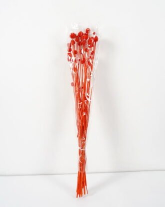 Dried Flowers 13*70CM ALLIUM FISTULOSUM GS-56619021CONTI-O2 Dried Flowers YeahFlower is one of Chinese leading OEM manufacturers and exporters , supplying the silk flowers, wholesale artificial trees