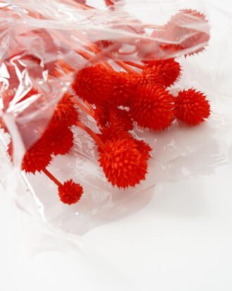 Dried Flowers 13*70CM ALLIUM FISTULOSUM GS-56619021CONTI-O2 Dried Flowers YeahFlower is one of Chinese leading OEM manufacturers and exporters , supplying the silk flowers, wholesale artificial trees