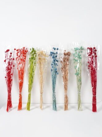 Dried Flowers 13*70CM ALLIUM FISTULOSUM GS-56619021CONTI-O2 Dried Flowers 3,000+ sqm showroom with thousands of artificial flowers, plants & trees ready for global sourcing.