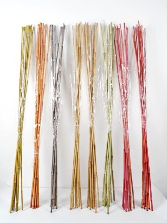 Dried Flowers 10*173CM willow bush*5 GS-56619002CONTI Dried Flowers 3,000+ sqm showroom with thousands of artificial flowers, plants & trees ready for global sourcing.